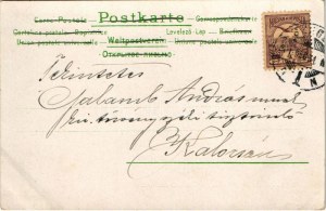 1901 Boldog Újévet! / Cartolina d'auguri per il nuovo anno con maiali che tengono trifogli. litografia (EK)