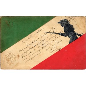 1899 (Vorläufer) Italain flag and Emb. coat of arms, patriotic propaganda (fl)