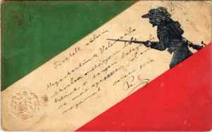 1899 (Vorläufer) Italain flag and Emb. coat of arms, patriotic propaganda (fl)