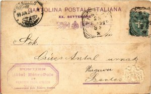 1899 (Vorläufer) Bandiera italiana e stemma Emb., propaganda patriottica (fl)