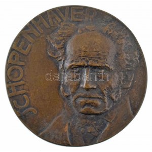 Antal Sándor (1882-1944) 1907. Schopenhauer egyoldalas bronz plakett (~89-90mm) T:AU / Ungheria 1907. Schopenhauer...
