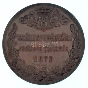 1879. Székesfehérvári Országos Kiállítás bronzo emlékérem (450mm) T:AU,XF / Ungheria 1879. ...