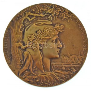 Franciaország 1900. Francia Köztársaság / Párizsi Világkiállítás 1900 kétoldalas bronz emlékérem, adományozva J...