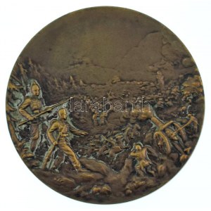 Osztrák-Magyar Monarchia ~1914-1915. Ferenc József és II. Vilmos / Limanovai csata kétoldalas bronz emlékérem (50mm...