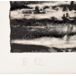 Maurer Dóra (1937-) : B 12, 1971. Akvatinta, mezzotinto, papír. Jelzett. 47x25 cm. Paszpartuban. Le livre est reproduit à l'identique...