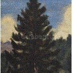 Husovszky János (1883-1961) : Nagybányai házak. Olaj, vászon, jelezve jobbra lent. Dekoratív fakeretben, 56,5×50 cm ...