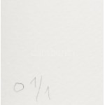 Kelle Antal (1953-): 2021. Kollázs, karton, papier. Jelzett, számozott (0 1/1). 26,5x21 cm. Egyedi...