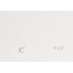 Reigl Judit (1923-2020): Ritratto. Szitanyomat, papír, jelzett a nyomaton, számozott: 1009/1500, 19,5x24 cm ...