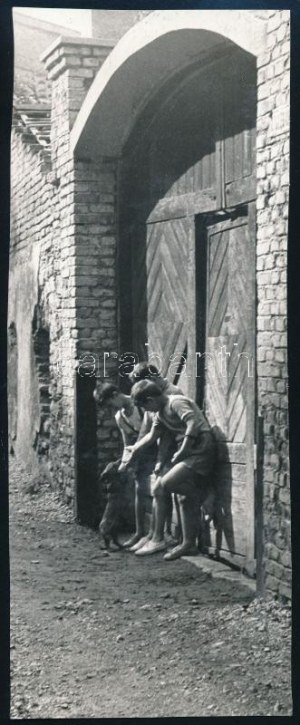 1963 Rósner Egon fotóművészeti alkotása (Gyermekek), 1 db vintage fotó, feliratozva, ezüst zselatinos fotópapíron...
