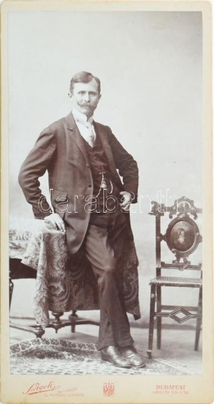 Hegedűs László (1870-1911) festőművész, egyetemi tanár, a 100 koronás bankjegy tervezője....