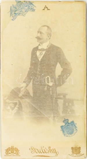 Faragó Ödön (1853-1925) vámigazgató, elsőosztályú mandarino, keményhátú fotó Strelisky budapesti műterméből, 20...