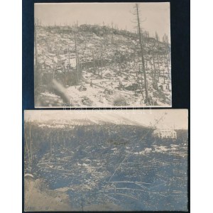 1915 A felvidéki Magas-Tátrát ért szélvihar következménye, megcsonkított erdők, 2 db fotó, egyiken felirat, 88...