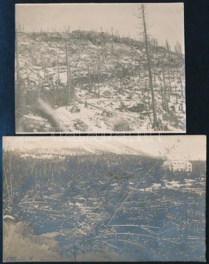 1915 A felvidéki Magas-Tátrát ért szélvihar következménye, megcsonkított erdők, 2 db fotó, egyiken felirat, 88...
