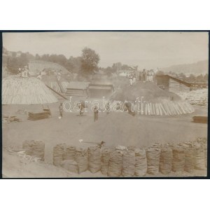 ok. 1900 Körtéd település, Bánát Földmunkások / Kruscica Serbia zdjęcie 11x15 cm