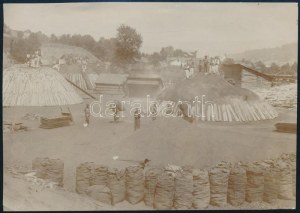 ok. 1900 Körtéd település, Bánát Földmunkások / Kruscica Serbia zdjęcie 11x15 cm
