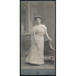 ok. 1890 Eugenie Koenig feliratú, keményhátú vintage fotó, amely Bécsben készült, Pietzner fényképész műtermében, 21x9...