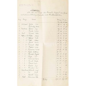 1917 S.M. Dampfer V. osztrák magyar szállító hadihajó kifizetett bérek listája. Hajópecséttel. / Handwritten four...