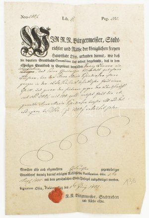 1805 Buda város hivatalos bizonyítványa Anna Mária Pesöndorfer/Pesendorfer ? részére.