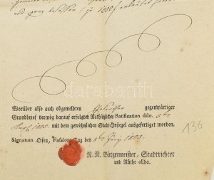 1805 Buda város hivatalos bizonyítványa Anna Mária Pesöndorfer/Pesendorfer? részére.