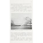 Vojnich Oszkár: A Csendes óceán szigetvilága. Úti jegyzetek. Bp., 1908, Pallas,4+407+1 S. Szövegközti fekete...
