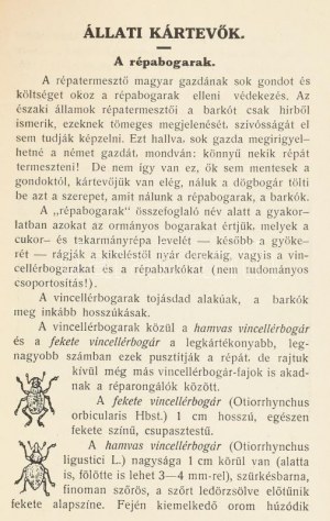 Gróf Béla: A cukorrépa kártevői és betegségei. Magyaróvár, 1930,Szerzői, (Győr, Vitéz Szabó és Uzsaly-ny.), 112 str....
