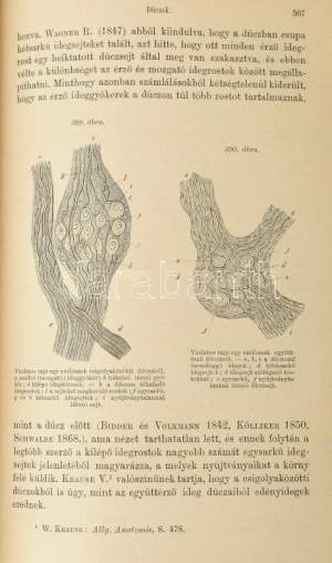 Mihalkovics Géza: Általános boncztan. A Magyar Orvosi Könyvkiadó-Társulat Könyvtára XXXVIII. köt. Bp., 1881....