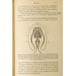 Mihalkovics Géza : Általános boncztan. A Magyar Orvosi Könyvkiadó-Társulat Könyvtára XXXVIII. köt. Bp., 1881....