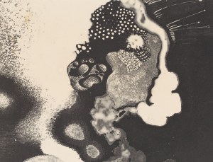 Karol Hiller (1891 Lodž - 1939 Lasy Lućmierskie u Lodže), Heliografická kompozice XLI, 1933