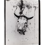 Eustachy Kossakowski (1925 - 2001 ), Bull's head