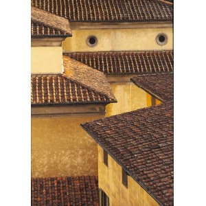 Dariusz Jasak (b. 1993), Roofs in Santo Spirito, 2019