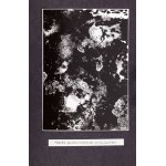 Józef Robakowski (geb. 1939, Poznań), Astrale Fotografie - Mappe mit 9 Fotografien, 1973