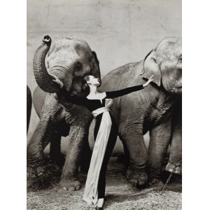 Richard Avedon (1923 - 2004 ), Dovima a sloni, 1955/1978
