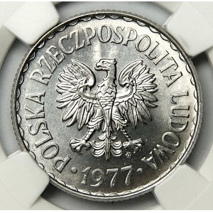 1 zlato 1977