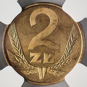 2 gold 1987, SLR