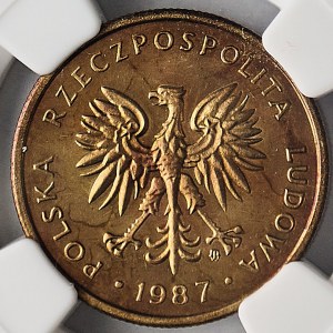2 gold 1987, SLR