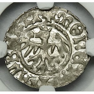 Jan Olbracht 1492-1501, half-penny without date, Cracow