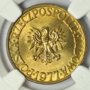 5 or 1977