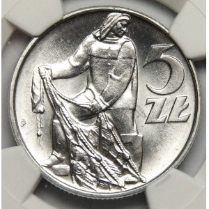 5 Gold 1973, Fisherman
