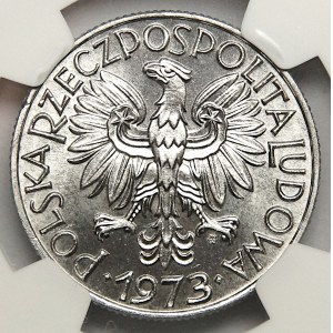 5 Gold 1973, Fisherman