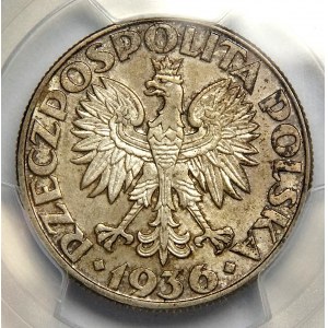 5 or 1936, Voilier