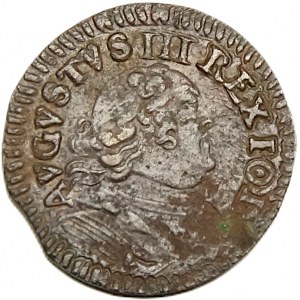 August III Sas, szeląg 1753 V, Gubin, bez szeryfów