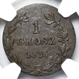 Königreich Polen, Pfennig 1836