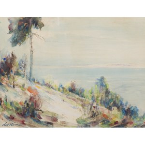 Marian Mokwa (1889 Malary - 1987 Sopoty), Wdzydze