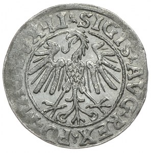 Zygmunt II August, półgrosz 1546, Wilno, LI/LITV, rzadki