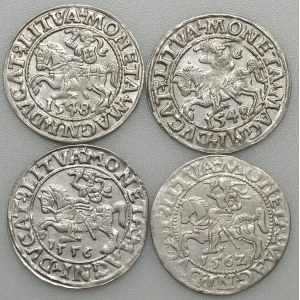 Zygmunt II August, zestaw 4 półgroszy 1548-1562