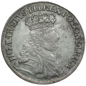 August III, ort 1754 EC, Lipsk, mała głowa