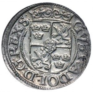 Szwedzka okupacja, półtorak 1623, Ryga, Gustaw II Adolf, wyśmienity.