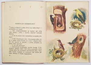 ZDZITOWIECKA H. - In the forest. 1st ed. 1953