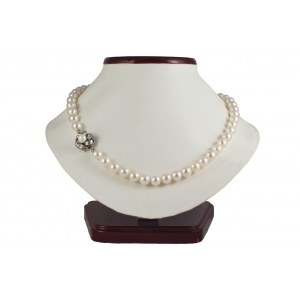 Oceánsky perlový náhrdelník 7,4-7,9 mm, zapínanie 750