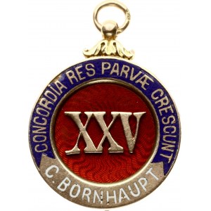 Medal Riga Mortgage Association 1869-1894